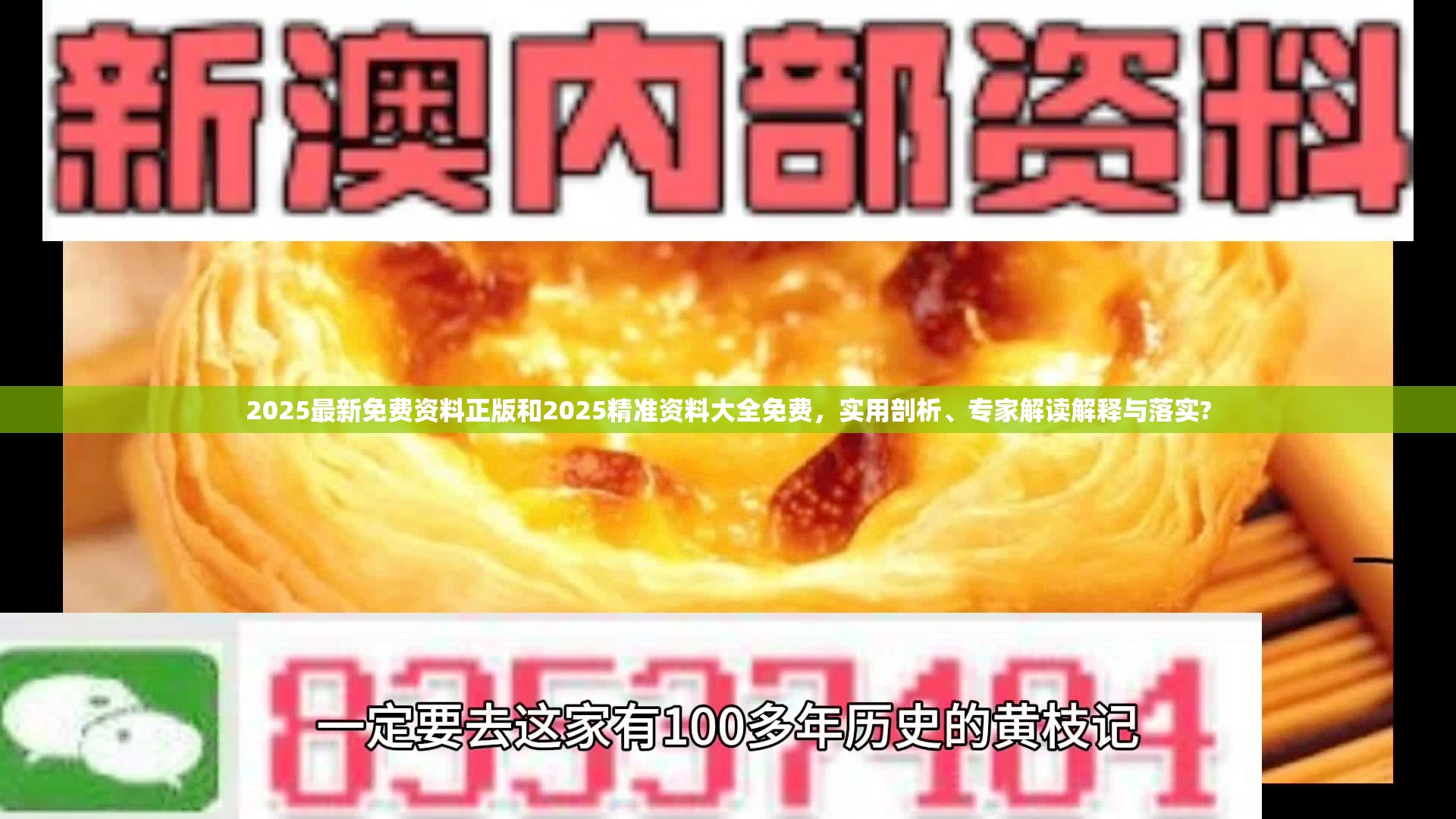 2025最新免费资料正版和2025精准资料大全免费，实用剖析、专家解读解释与落实?