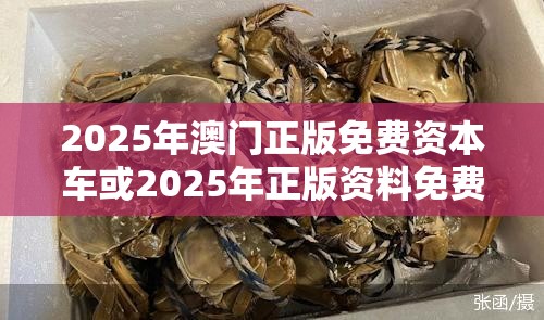 2025年澳门正版免费资本车或2025年正版资料免费最新版本，实用释义、专家解读解释与落实-拒绝欺骗性承诺
