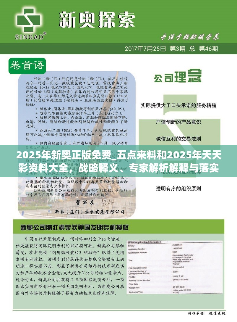 2025年新奥正版免费_五点来料和2025年天天彩资料大全，战略释义、专家解析解释与落实,留心欺诈性营销
