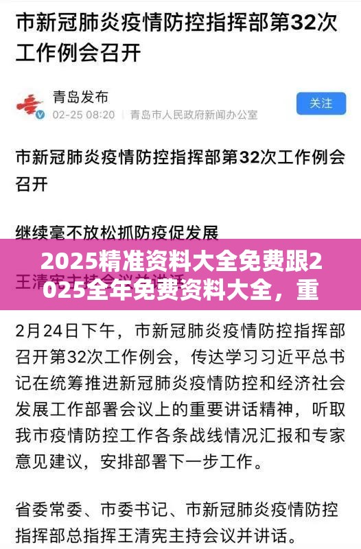 2025精准资料大全免费跟2025全年免费资料大全，重点释义、解释与落实,警惕不实的钓鱼钩