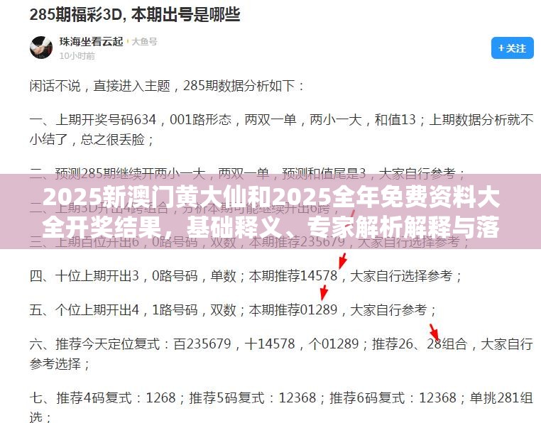 2025新澳门黄大仙和2025全年免费资料大全开奖结果，基础释义、专家解析解释与落实?杜绝虚假诱导词